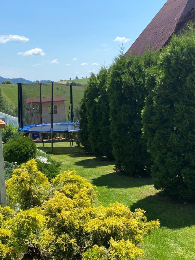 Agroturystyka U Ireny Мізерна Екстер'єр фото