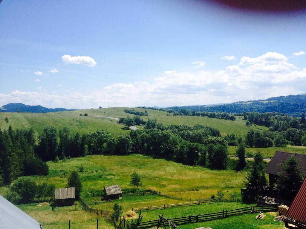 Agroturystyka U Ireny Мізерна Екстер'єр фото